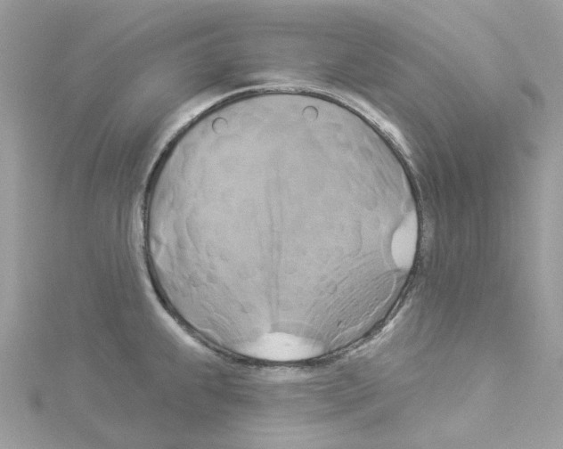 X0000114101239200911161051