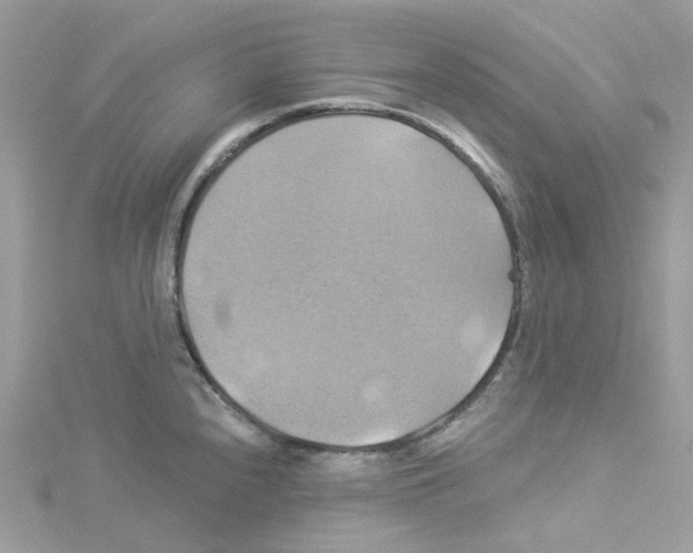 X0000114101240200911161051