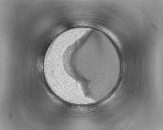 X0000114101241200911161051