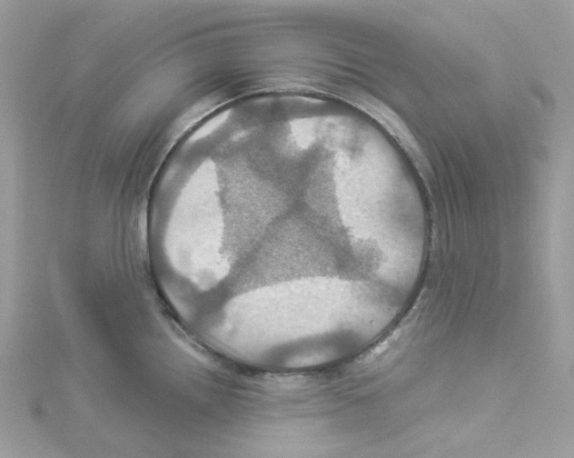 X0000114101242200911161051