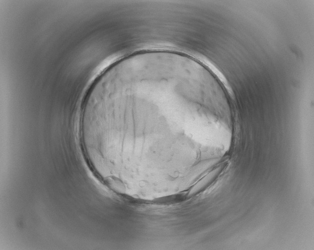 X0000114101245200911161051