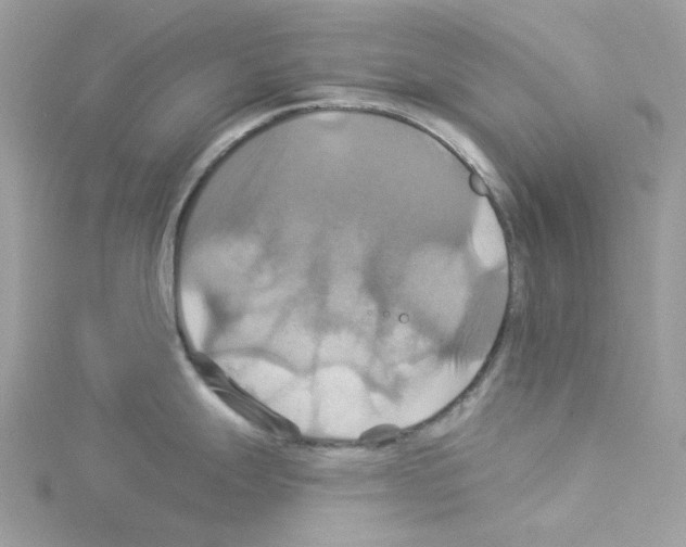 X0000114101247200911161051