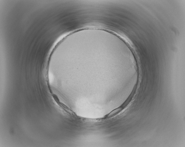 X0000114101248200911161051