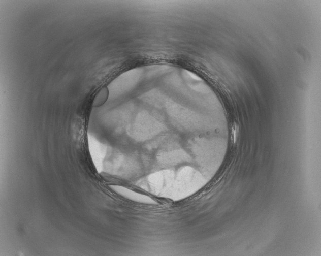 X0000114101251200911161051