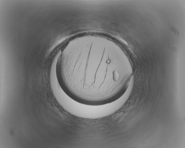 X0000114101255200911161051