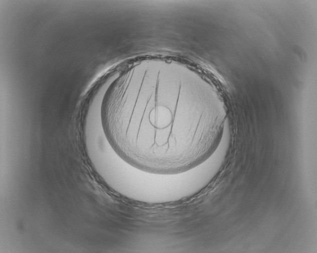 X0000114101256200911161051