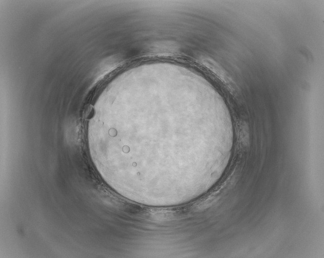 X0000114101258200911161051