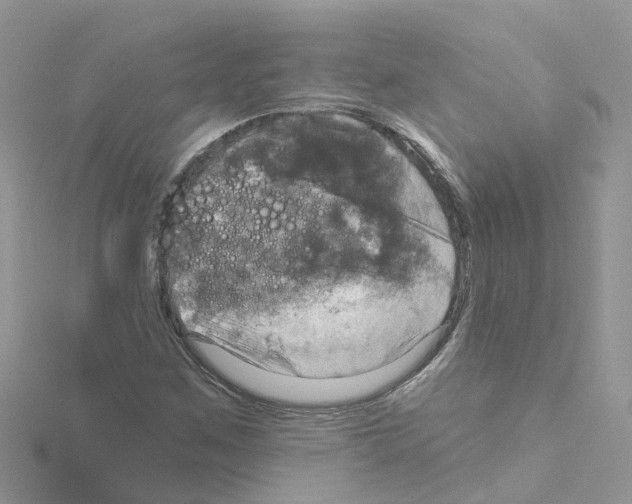 X0000114101259200911161050