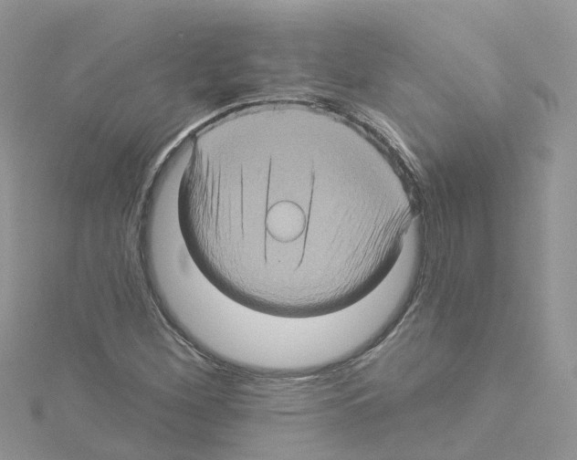 X0000114101260200911161050