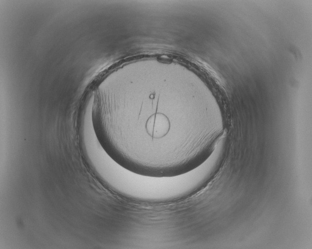 X0000114101261200911161050