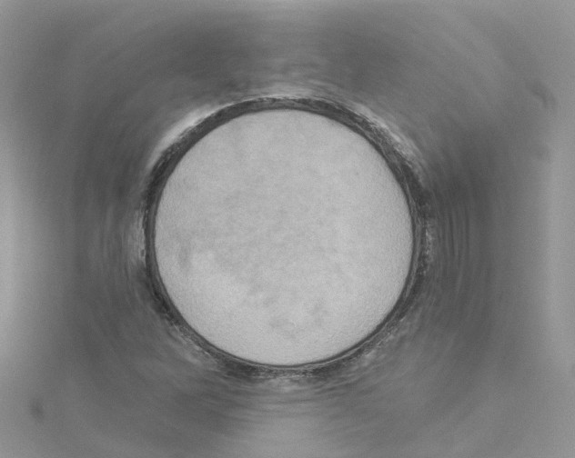 X0000114101262200911161050