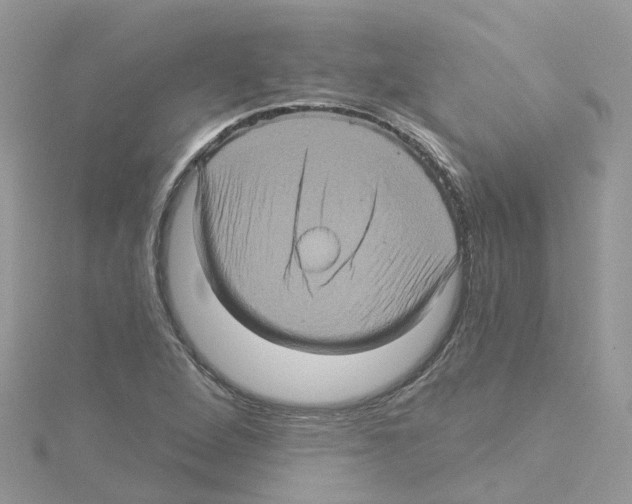 X0000114101264200911161050