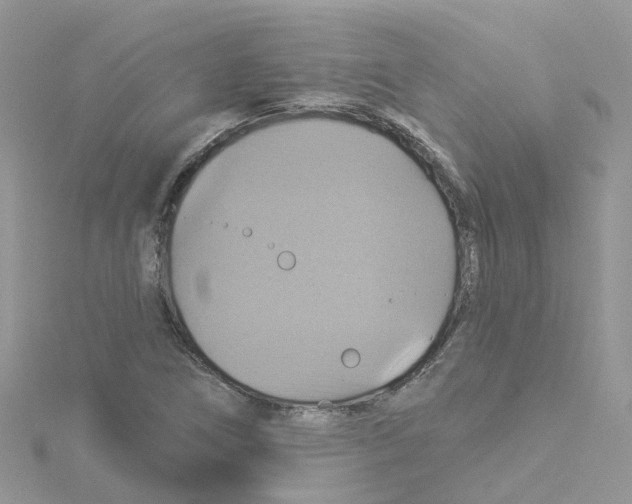 X0000114101266200911161050