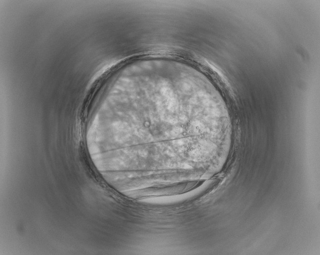 X0000114101267200911161050