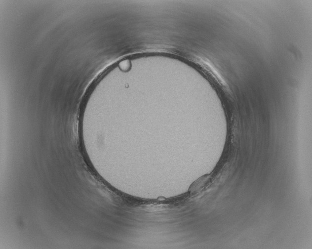 X0000114101268200911161050