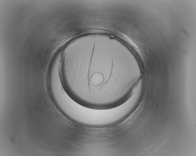 X0000114101269200911161050