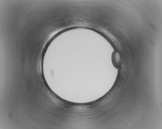 X0000114101272200911161050