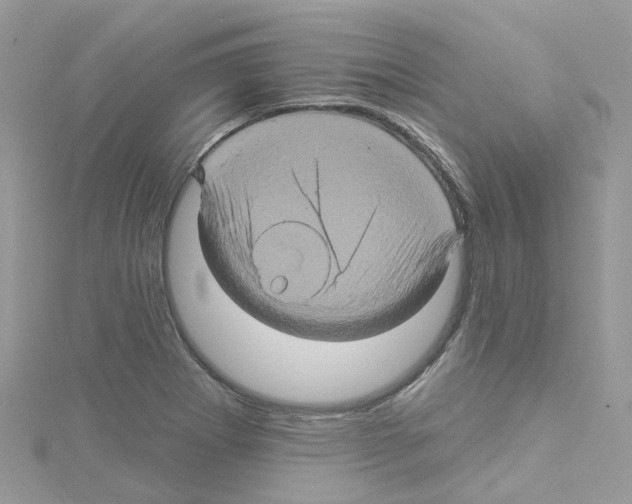 X0000114101273200911161050