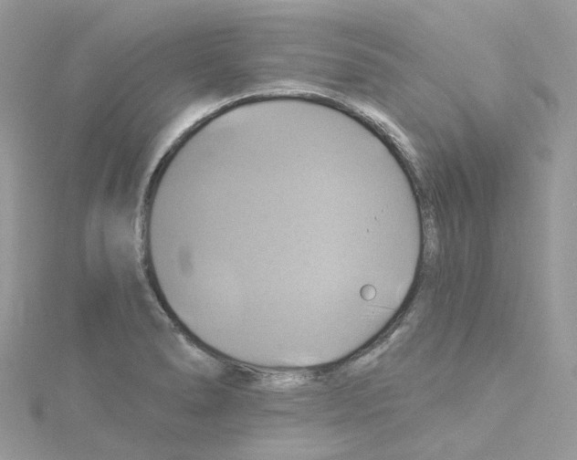 X0000114101278200911161050