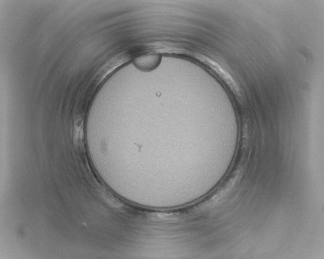 X0000114101281200911161050