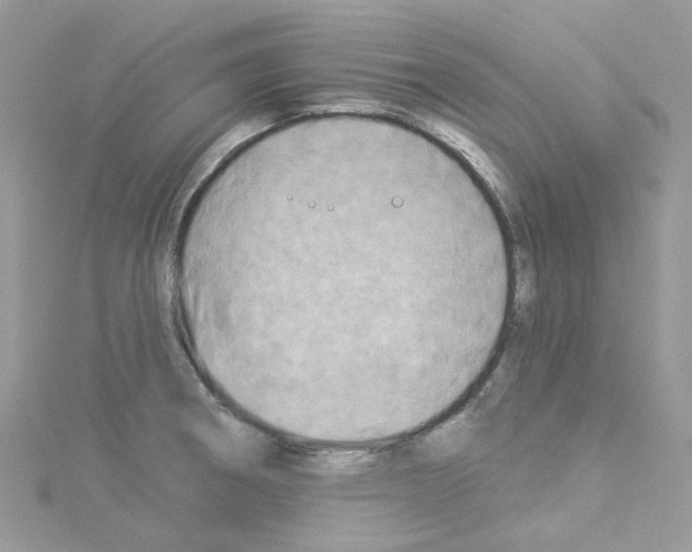 X0000114101282200911161050