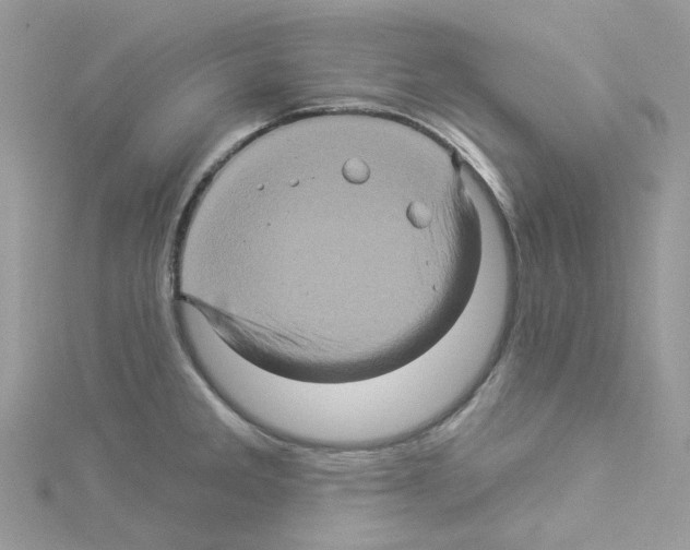 X0000114101285200911161050