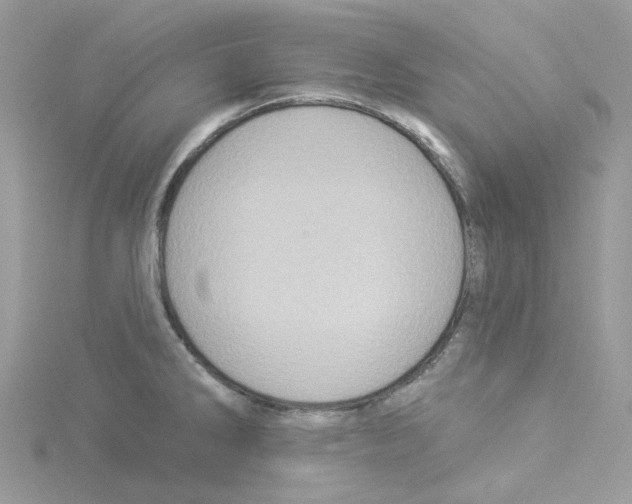 X0000114101286200911161050