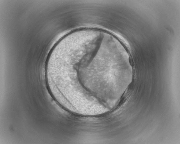 X0000114101287200911161050