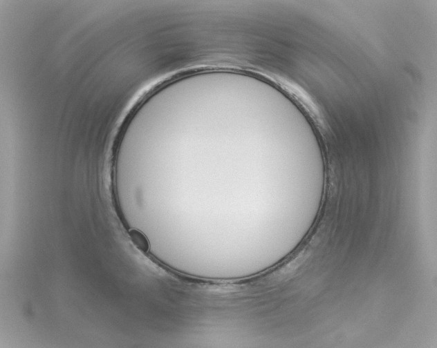 X0000114101288200911161050