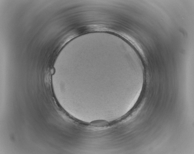 X0000114101289200911161050