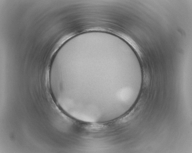 X0000114101290200911161050