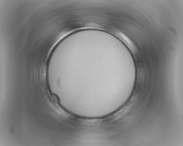 X0000114101292200911161050