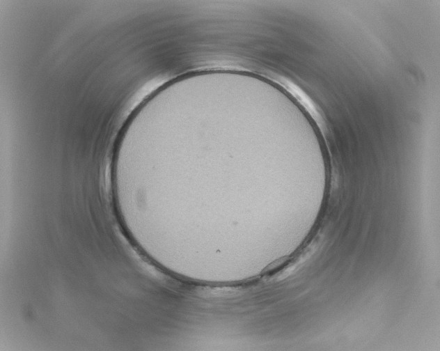 X0000114101293200911161050