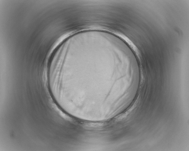 X0000114101294200911161050