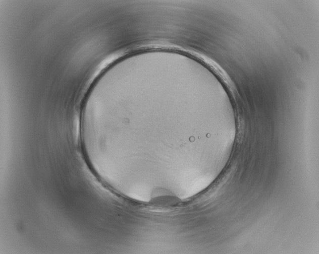 X0000114101295200911161050