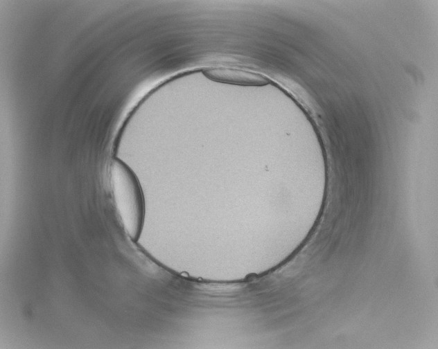 X0000114101296200911161050