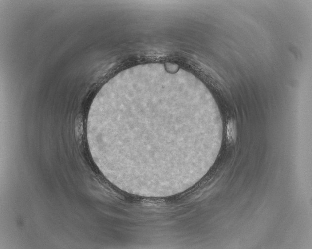 X0000114101299200911161049