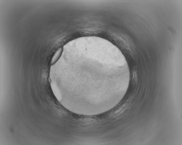 X0000114101300200911161049