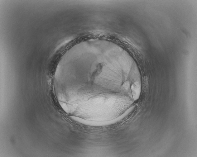 X0000114101302200911161049