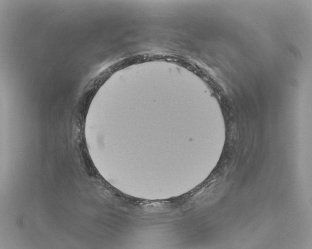 X0000114101303200911161049