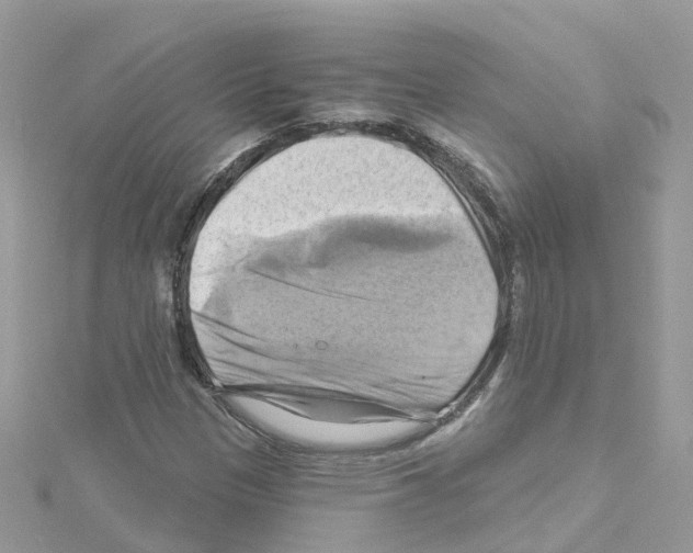 X0000114101305200911161050