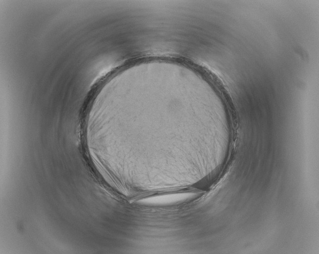 X0000114101306200911161050