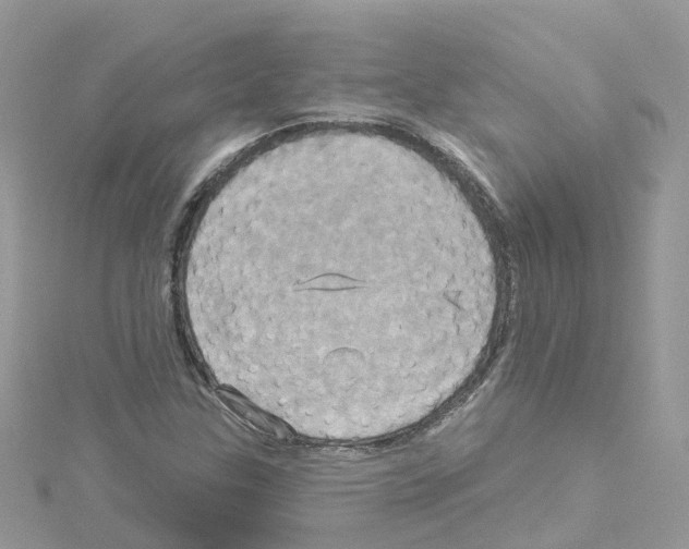 X0000114101307200911161050