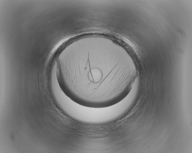 X0000114101310200911161050