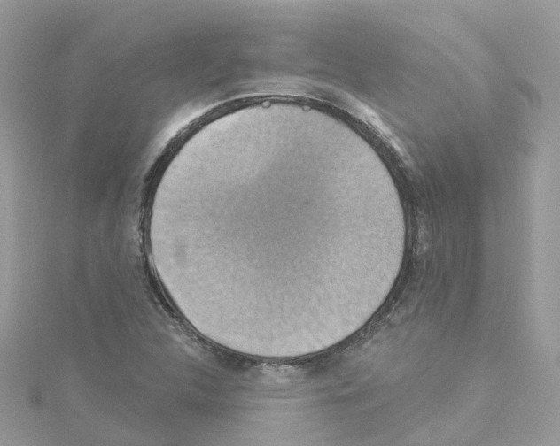 X0000114101312200911161050