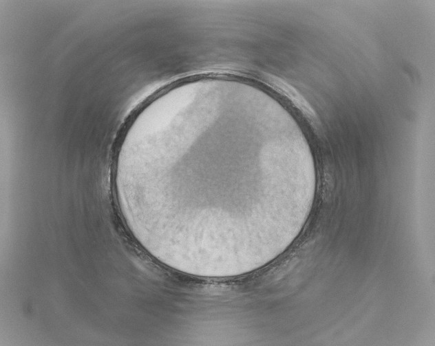 X0000114101316200911161050