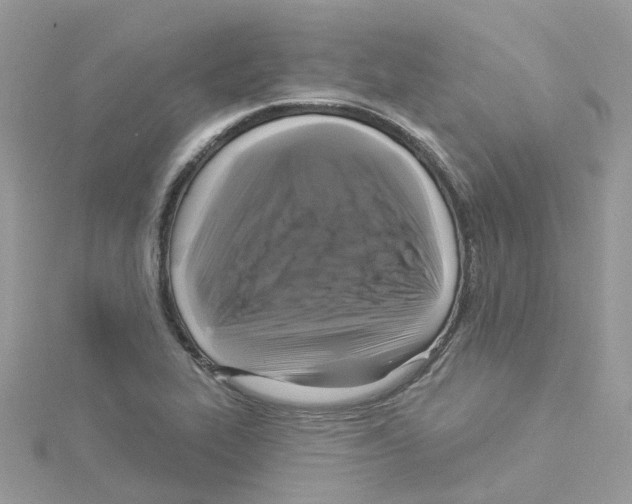 X0000114101319200911161050