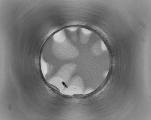 X0000114101321200911161050