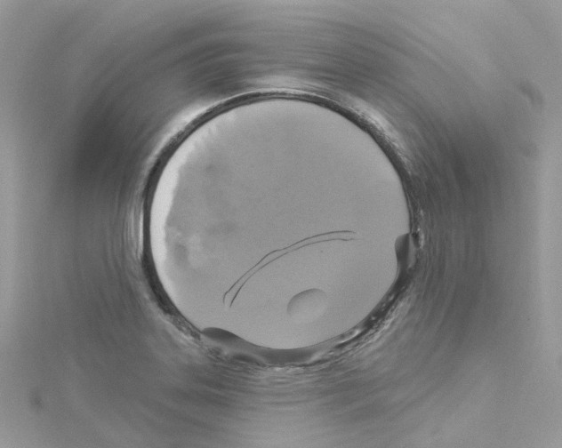 X0000114101323200911161050