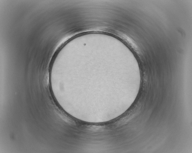 X0000114101324200911161050